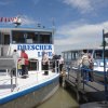 Mulatschak Neusiedler See 22.06.2018